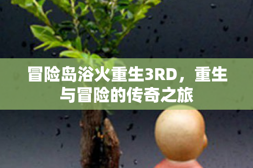 冒险岛浴火重生3RD图片