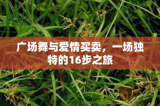 一场独特的16步之旅图片