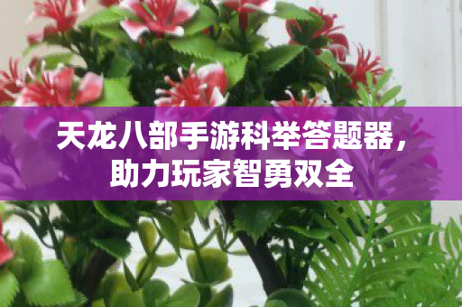 天龙八部手游科举答题器图片