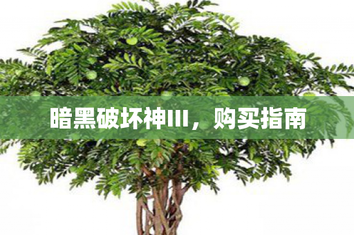 暗黑破坏神III图片