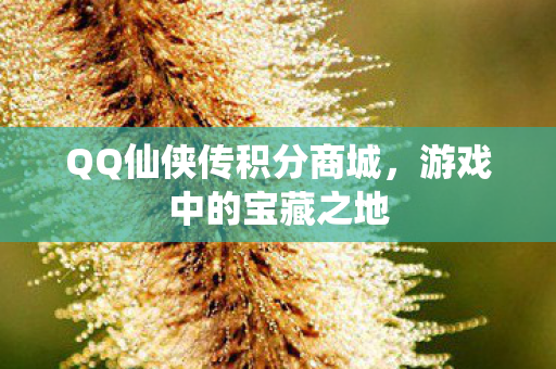 QQ仙侠传积分商城图片