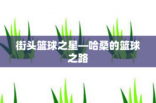 哈桑的篮球之路图片