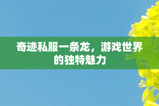 奇迹私服一条龙,游戏世界的独特魅力 奇迹私服一条龙,游戏世界的独特魅力