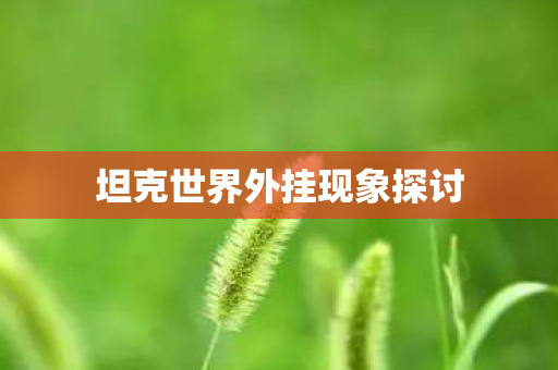 坦克世界外挂现象探讨图片