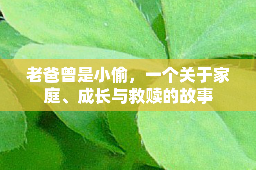 成长与救赎的故事图片