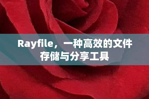 一种高效的文件存储与分享工具图片