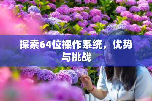 探索64位操作系统图片