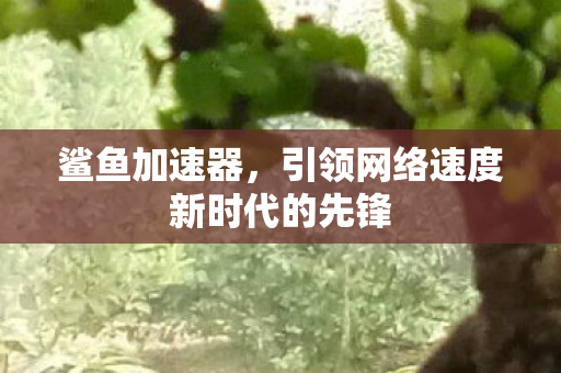 引领网络速度新时代的先锋图片
