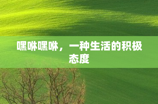 一种生活的积极态度图片