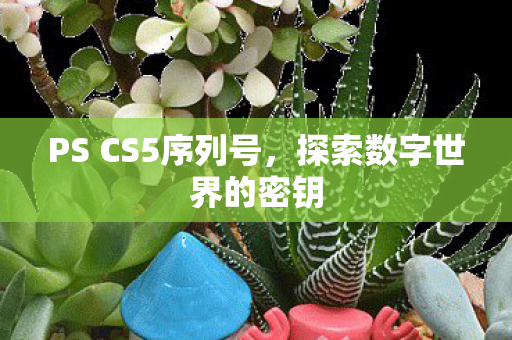 PS CS5序列号图片