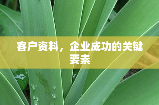 企业成功的关键要素图片