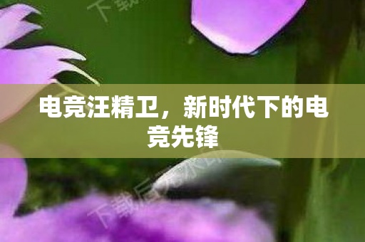 新时代下的电竞先锋图片