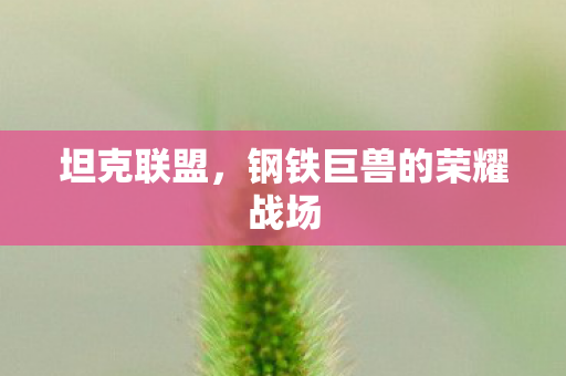 钢铁巨兽的荣耀战场图片
