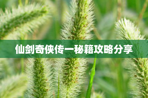 仙剑奇侠传一秘籍攻略分享