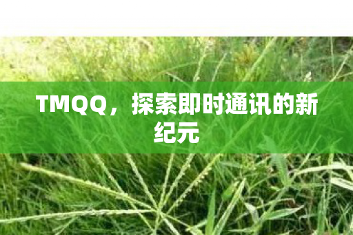 探索即时通讯的新纪元图片