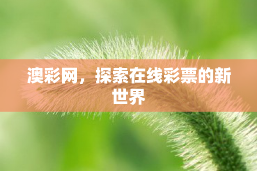 探索在线彩票的新世界图片