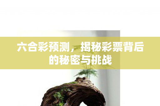 揭秘彩票背后的秘密与挑战图片