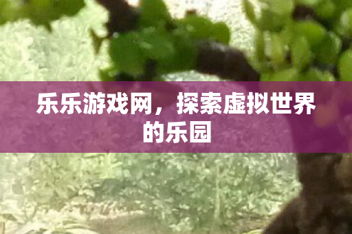 探索虚拟世界的乐园图片