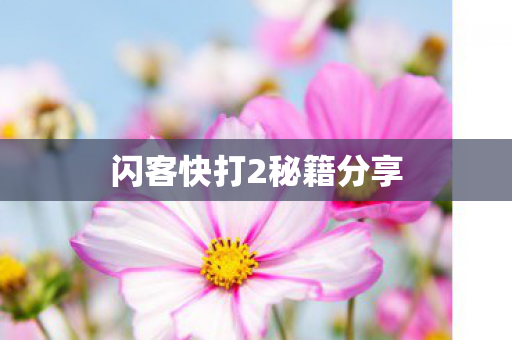 闪客快打2秘籍分享 闪客快打2秘籍分享