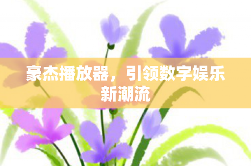 引领数字娱乐新潮流图片