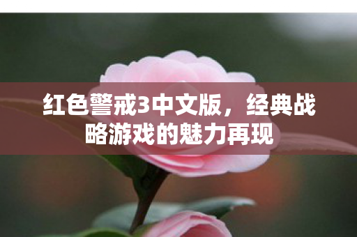 经典战略游戏的魅力再现图片