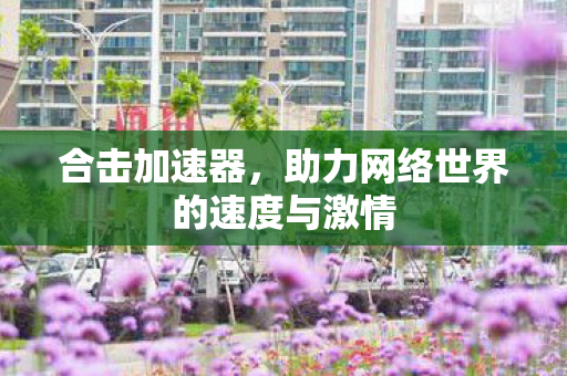 助力网络世界的速度与激情图片