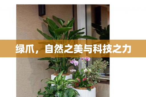 自然之美与科技之力图片