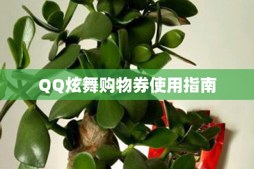 QQ炫舞购物券使用指南
