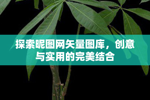 创意与实用的完美结合图片