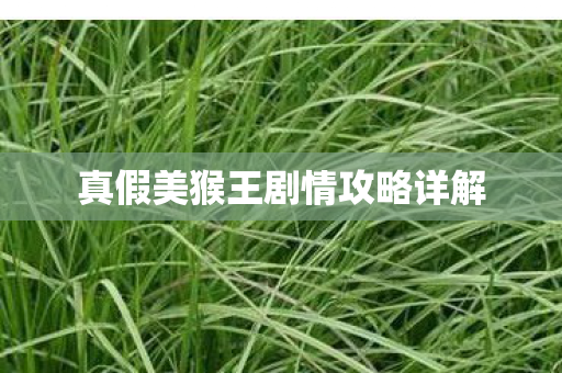 真假美猴王剧情攻略详解图片