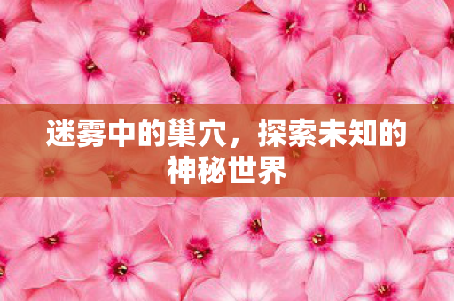 探索未知的神秘世界图片