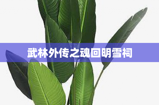 武林外传之魂回明雪祠图片