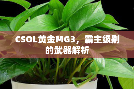 CSOL黄金MG3图片