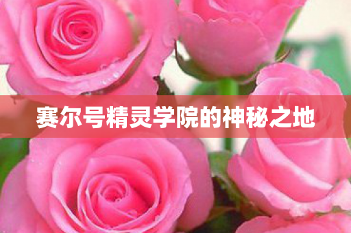 赛尔号精灵学院的神秘之地图片