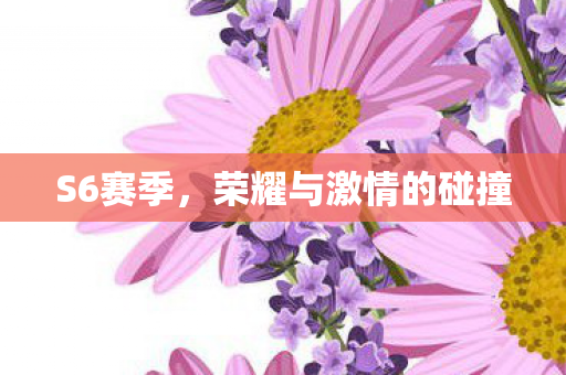 荣耀与激情的碰撞图片