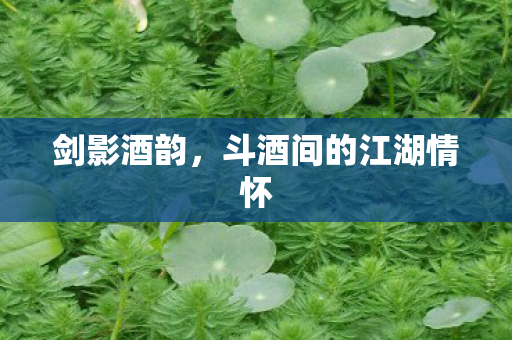 斗酒间的江湖情怀图片