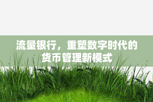 重塑数字时代的货币管理新模式图片