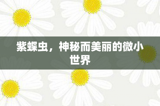 神秘而美丽的微小世界图片