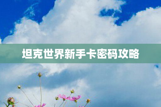 坦克世界新手卡密码攻略图片
