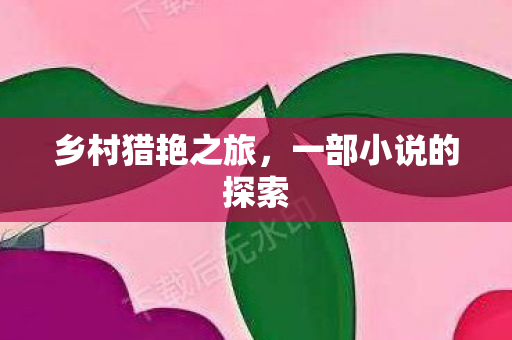 一部小说的探索图片