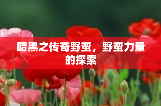 暗黑之传奇野蛮图片