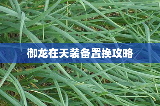 御龙在天装备置换攻略图片