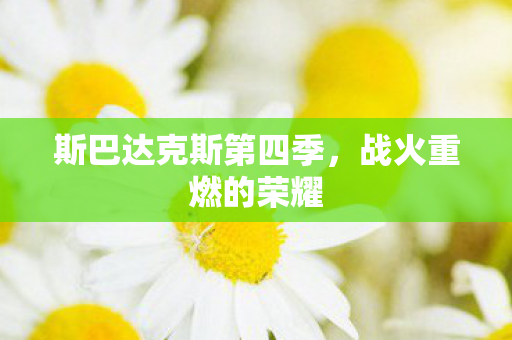 斯巴达克斯第四季图片