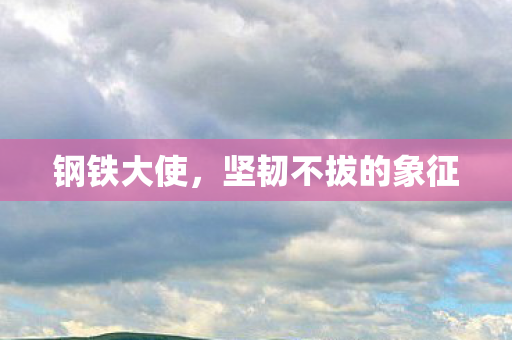 坚韧不拔的象征图片