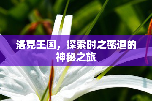 探索时之密道的神秘之旅图片