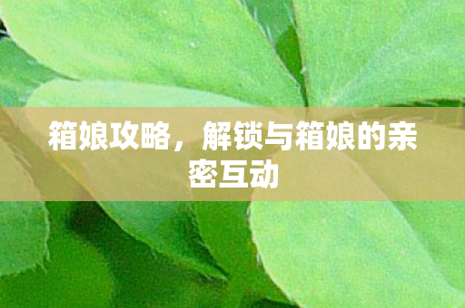 解锁与箱娘的亲密互动图片