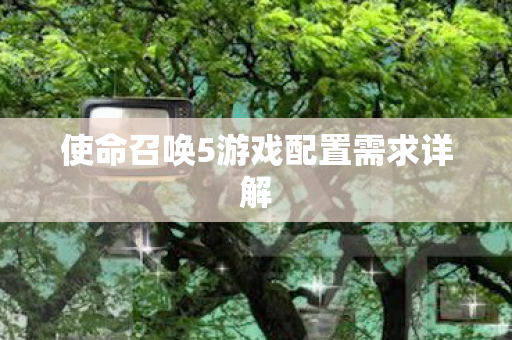 使命召唤5游戏配置需求详解图片