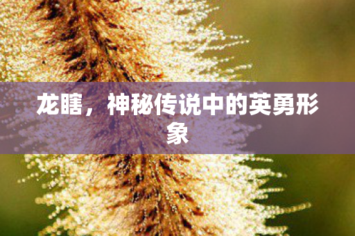 神秘传说中的英勇形象图片