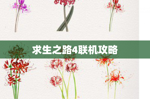 求生之路4联机攻略图片