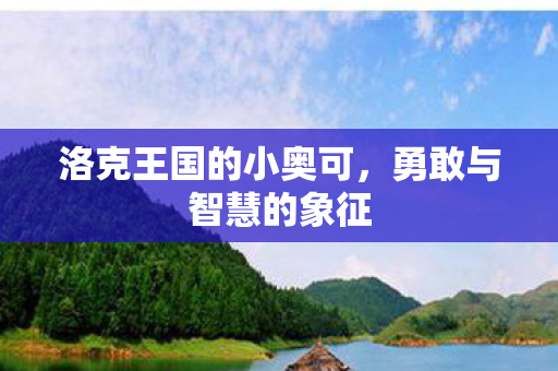 洛克王国的小奥可图片